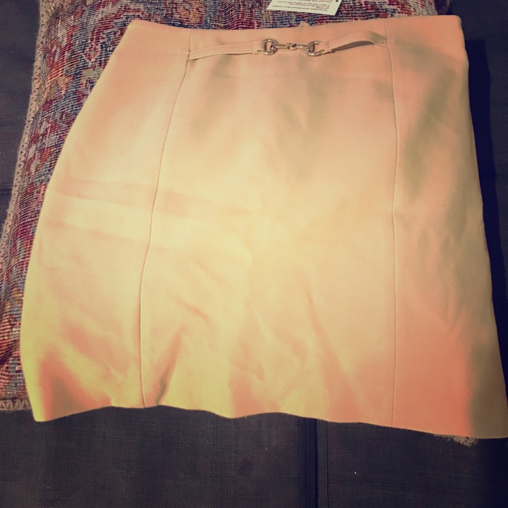 Beautiful H&M Mini Skirt